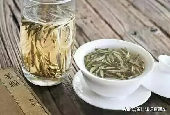生普洱茶和熟普洱茶的区别,莓茶与普通茶的区别