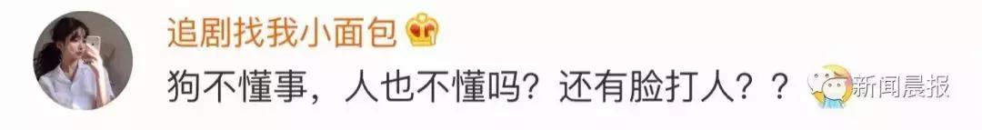 遛狗不牵绳算野狗吗,遛狗不牵狗绳咬伤别人怎么办