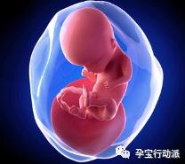 孕期周刊第93周,孕期周刊27周