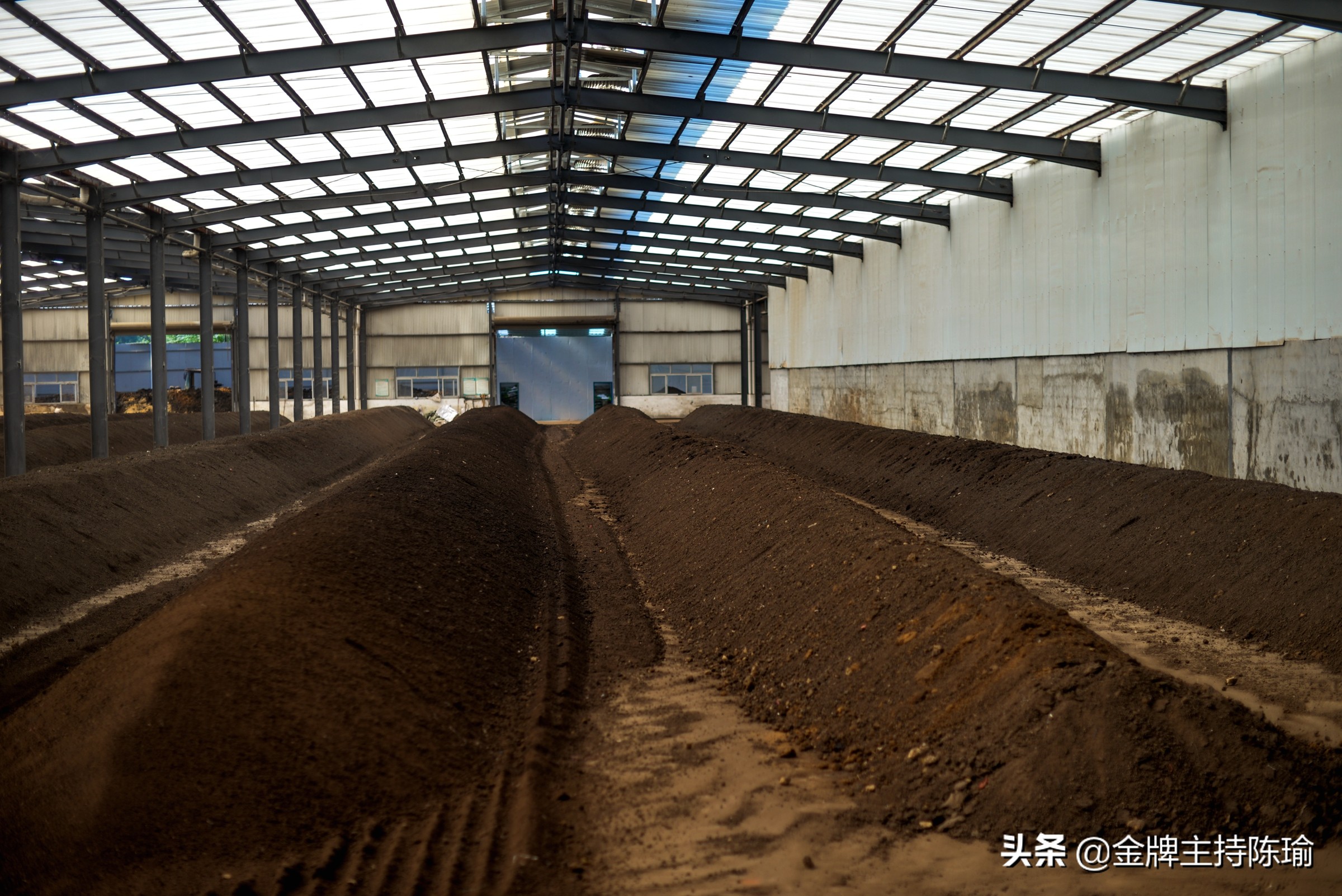 湖南科森农业有限公司,湖南科森农业股份有限公司