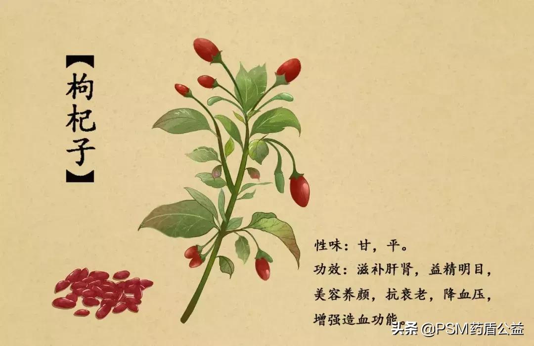 春暖花开手绘视频,春暖花开中药贴画