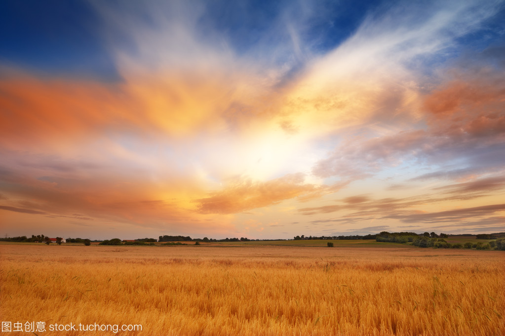 散文书写作品,散文中药材