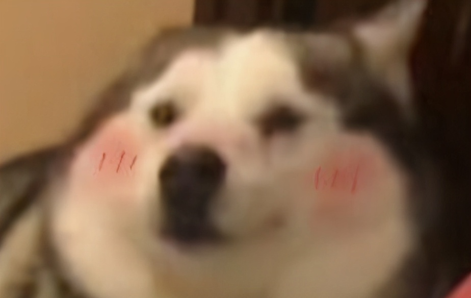 茅台空瓶子出售犯不犯法,售卖茅台空盒子违法吗