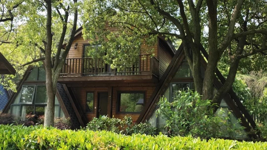 上新｜泡泡屋、树屋、竹苑，刷爆朋友圈的美宿又来了