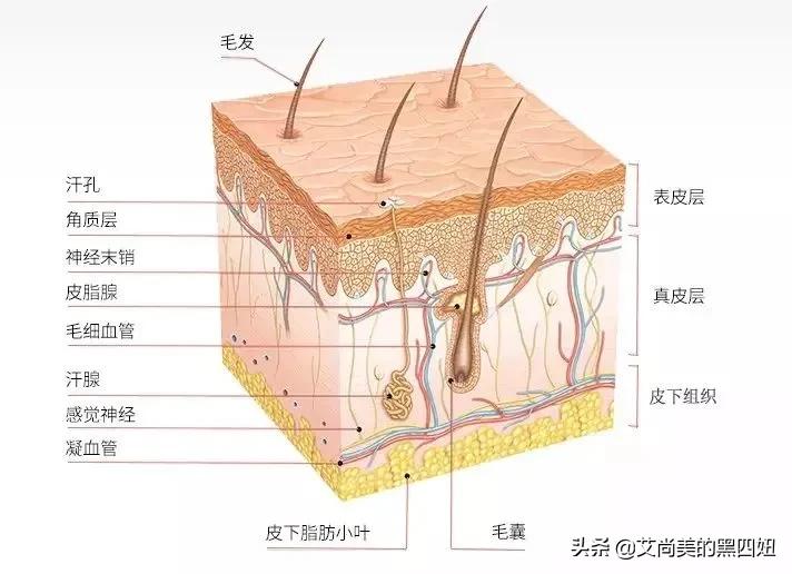 纹眉到底后悔不,不要乱纹眉过来人告诉你会后悔的