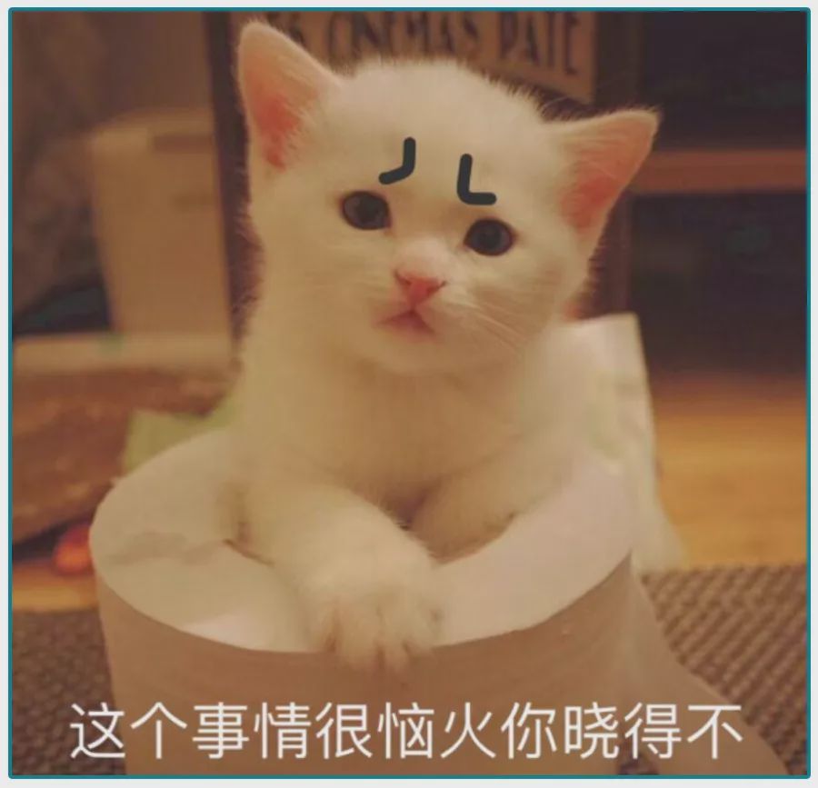 延期投保等于拒保吗,延期拒保是什么意思啊