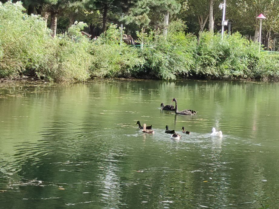 沈阳周边有山有水的免费景点,沈阳工业展览馆2021车展免费门票