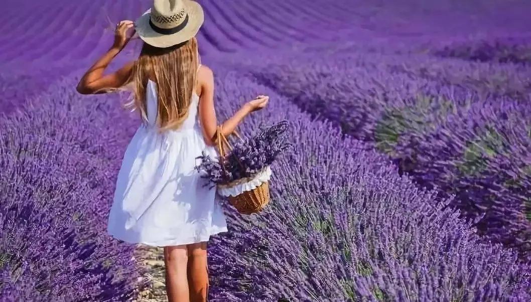 给自己女爱豆生日祝福语,给爱豆四字生日祝福语