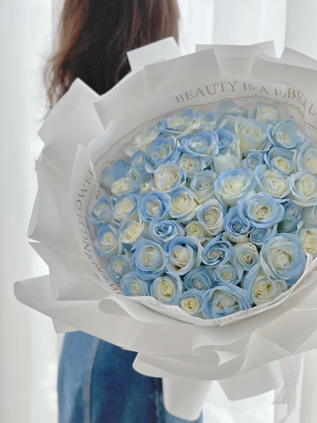 经典咏流传芦花,玫瑰花经典咏流传