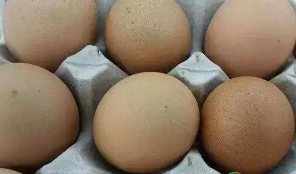 鸡蛋孵化管理技术,鸡蛋的孵化技术与要点