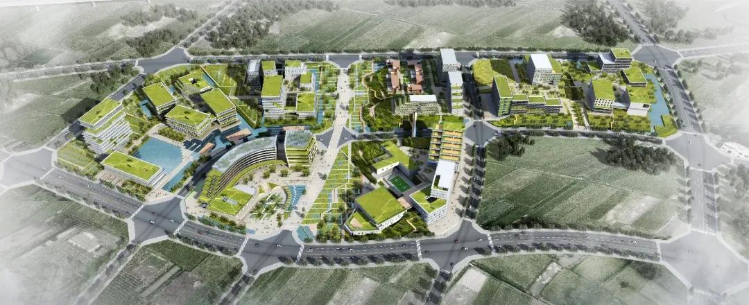 成都天府新区有什么景点,成都天府新区有哪些景点