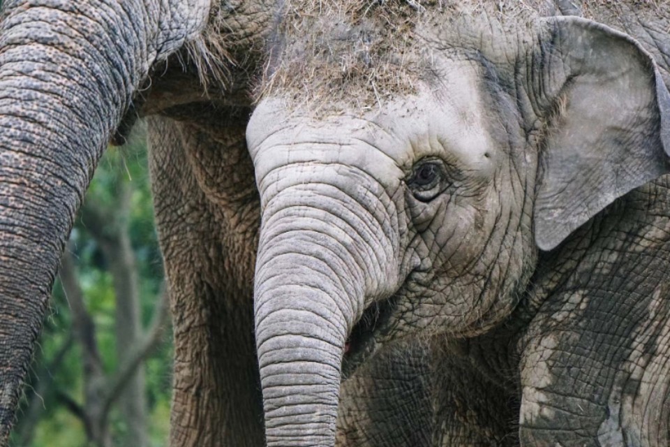 我的摄影装备,索尼微单a5000和a5100哪个好