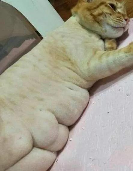 李现有没有腹肌,李现的真腹肌