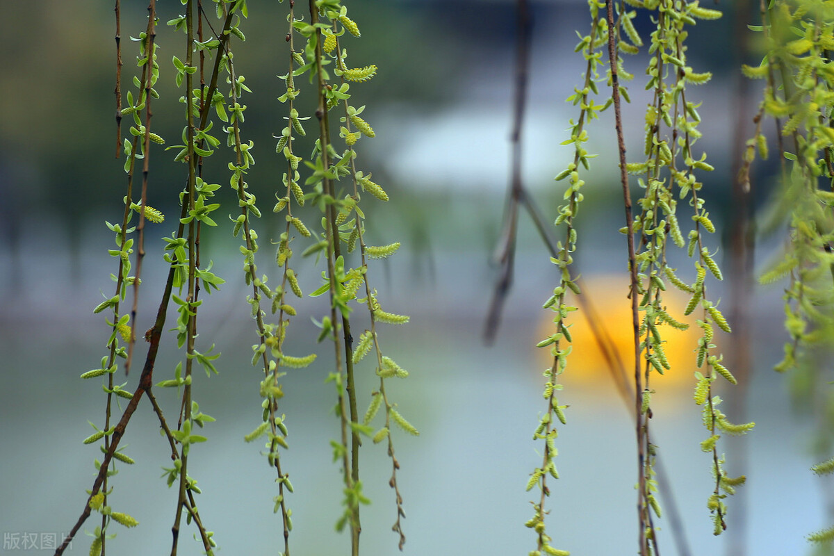 8848创始人王峻涛是哪里人,谁开启了航空时代