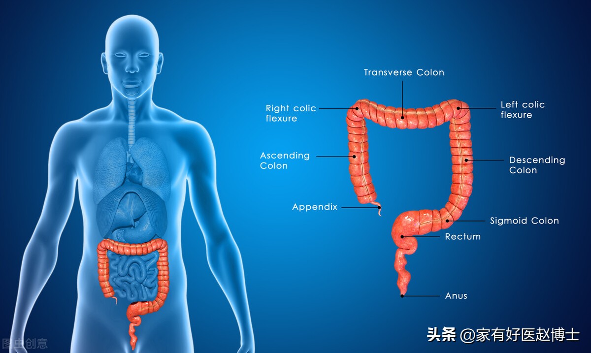 患癌最多的疾病以及预防,四种高致癌性炎症