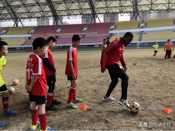 贵港市体育中心培训,贵港市成人足球培训