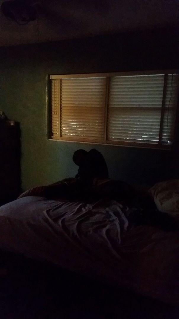 14张照片卡点劲爆15秒,14张照片的视频超燃