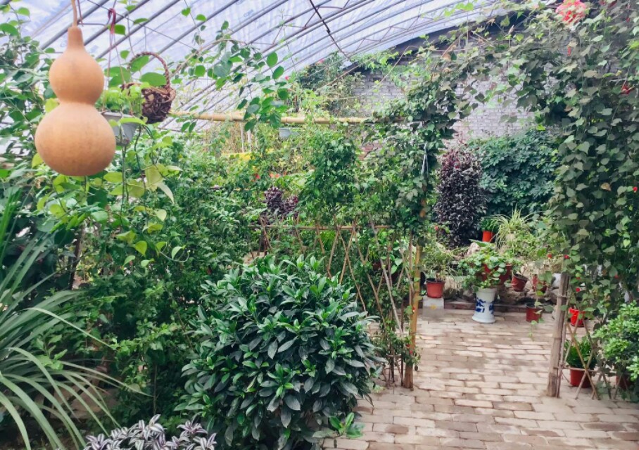 金色阳光幼儿园视频,金色阳光幼儿园有限公司