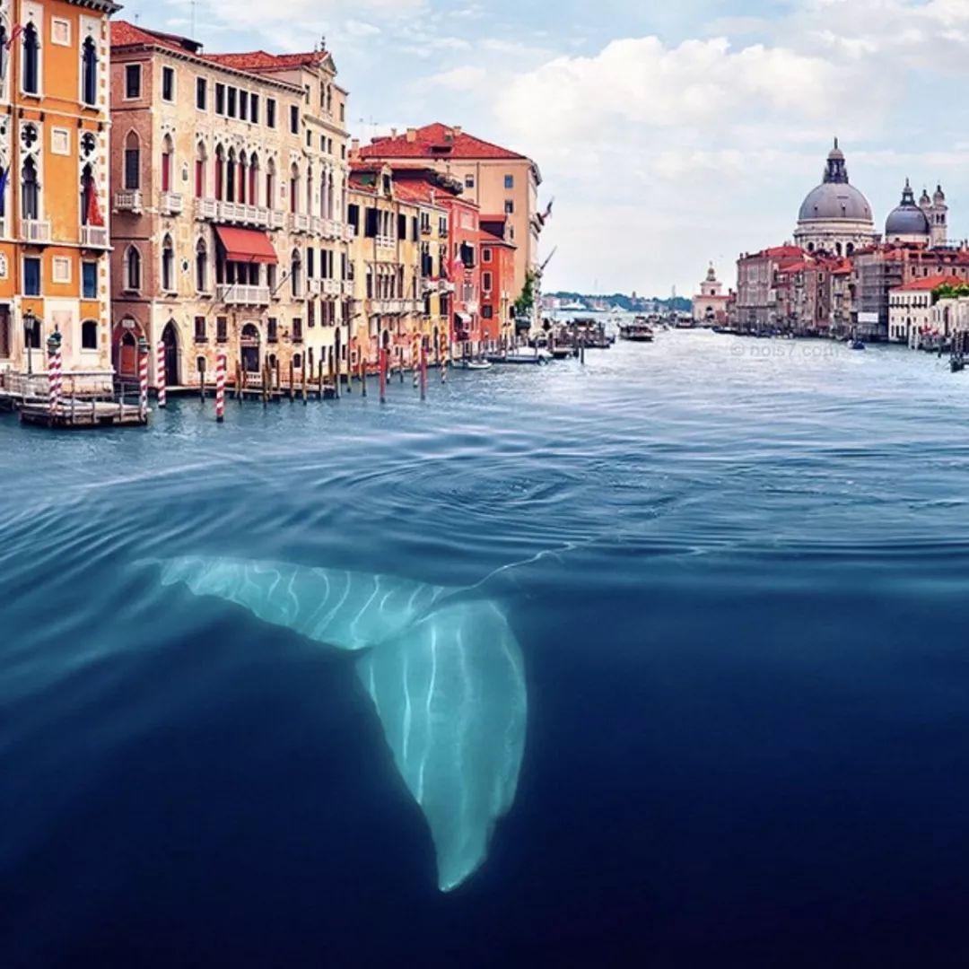 艺术摄影修图,艺术拍照修图