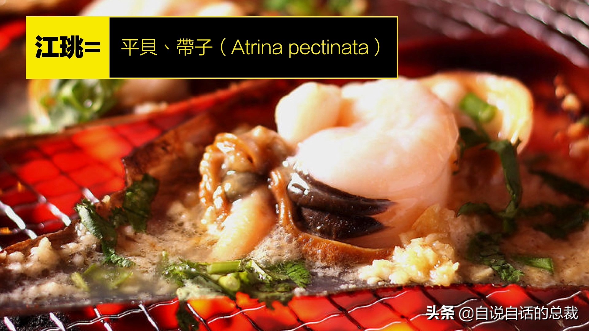 蚶蛤蛏蚬区别,蛤蜊蚶子蛏子区别