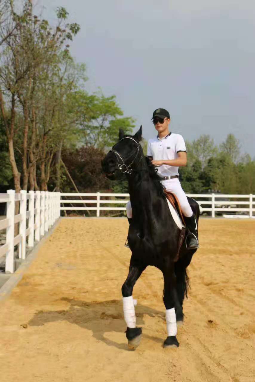 骑马怎么稳住,骑马怎么掌握平衡