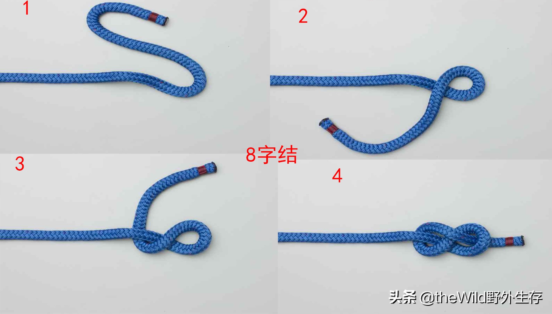 户外求生如何打绳结,野外生存25种绳结打法