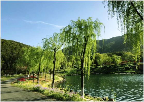 关于春天的颜色,关于春天的景色是什么