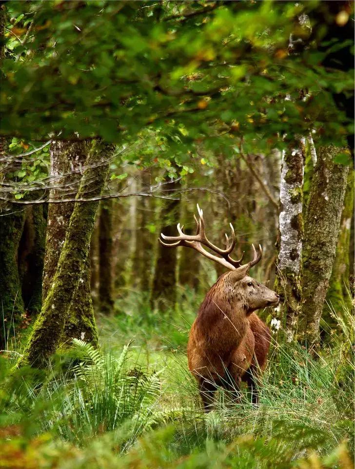 世界上唯一不允许结婚的国家,世界唯一一个不可以离婚的国家