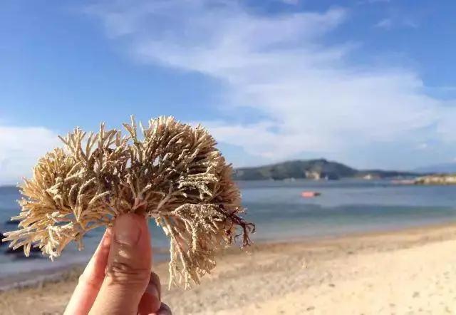 游玩阳光沙扒湾,下雨天沙扒湾有什么玩