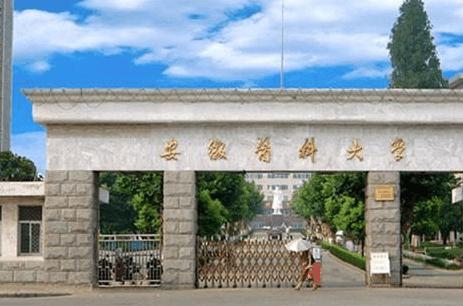 安徽高校2：安医、安师、安建、安农、安理工、安工程、安中医