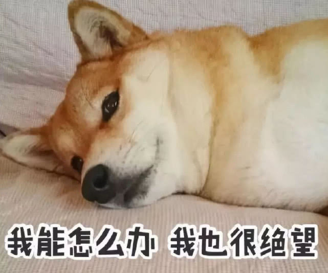 恋爱中男女合适的称呼,恋爱情侣的变化