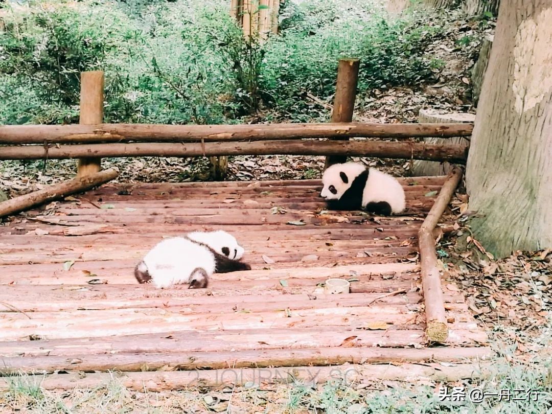 成都二三五科技有限公司,成都二三里