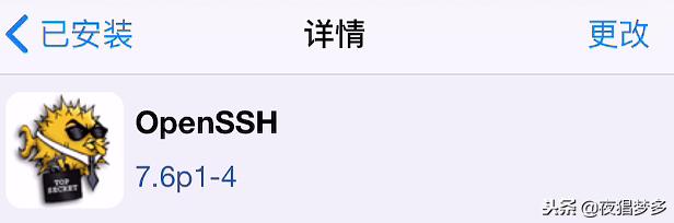 越狱后如何直接安装越狱商店,越狱十大必备组件