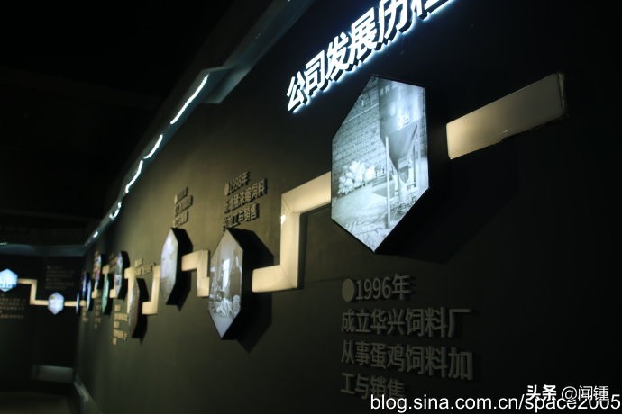 “走绿美邢襄看古城新变”百家自媒体走邢襄之三华兴宠物食品