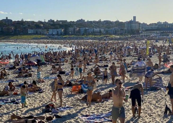 澳大利亚足球比赛视频,够狠完整版在线观看