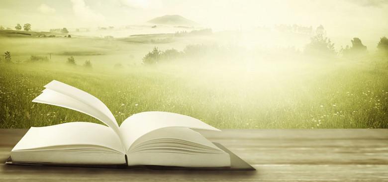 怎么降低论文查重率翻译,怎么降低论文的查重率