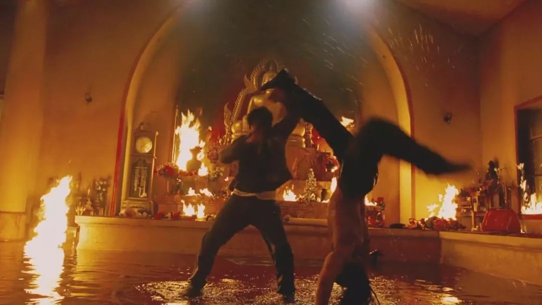 托尼贾金星初露锋芒,托尼贾金星完整视频