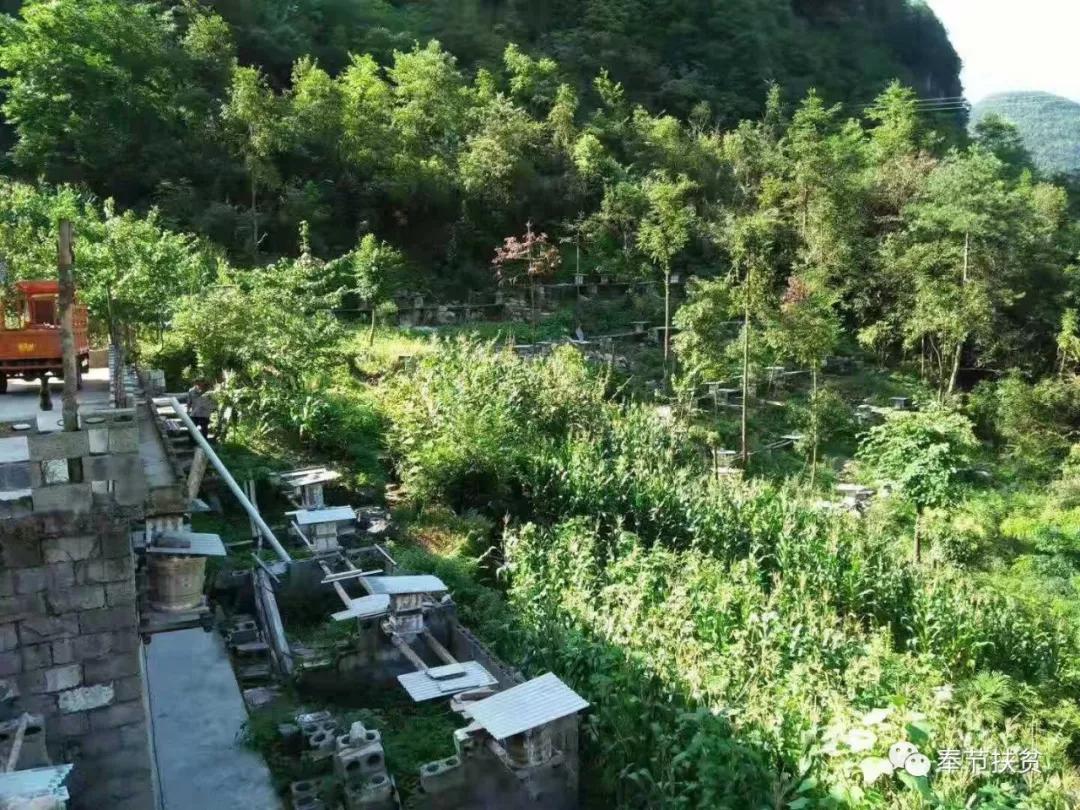 黄和玲:村民“贴耳人”更是“贴心人”