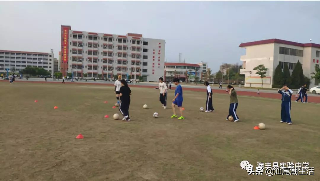 海丰县实验中学指标生,海丰县特长生招生