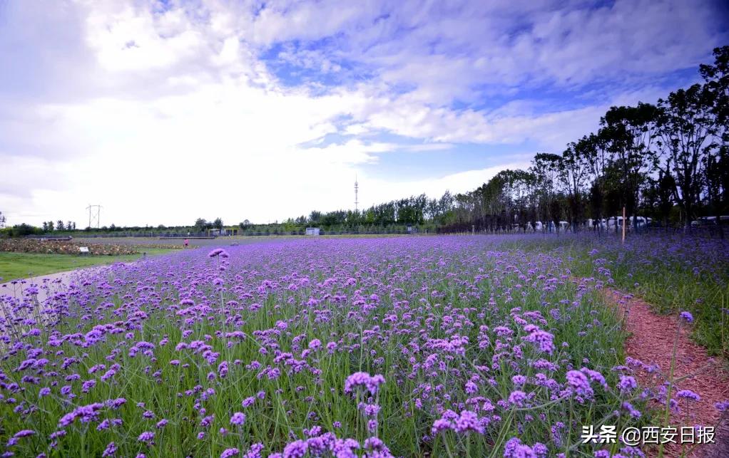 西安公园开放通知最新,西安附近公园免费景点