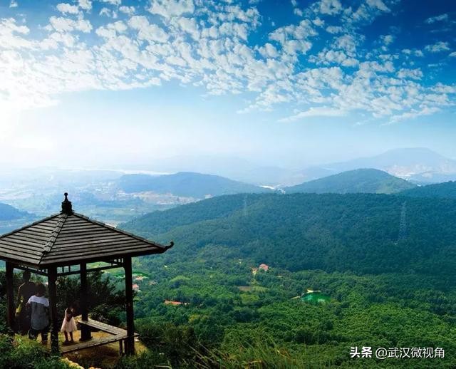 2019武汉军运会军事五项,武汉军运会军事五项视频