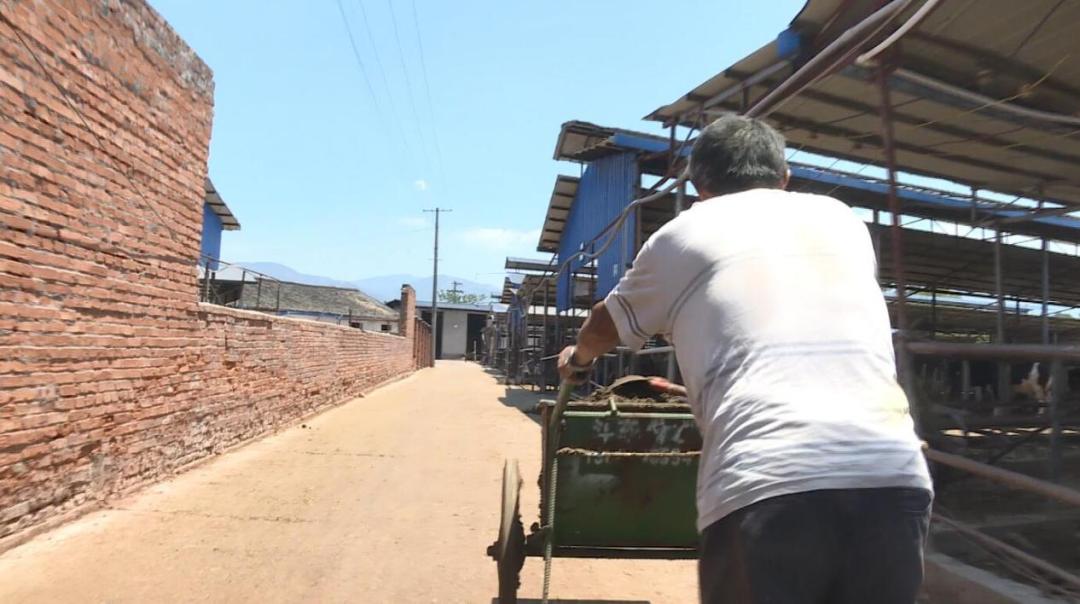 【沿着高速看西昌】高草村：农牧结合循环利用发展绿色生态养殖