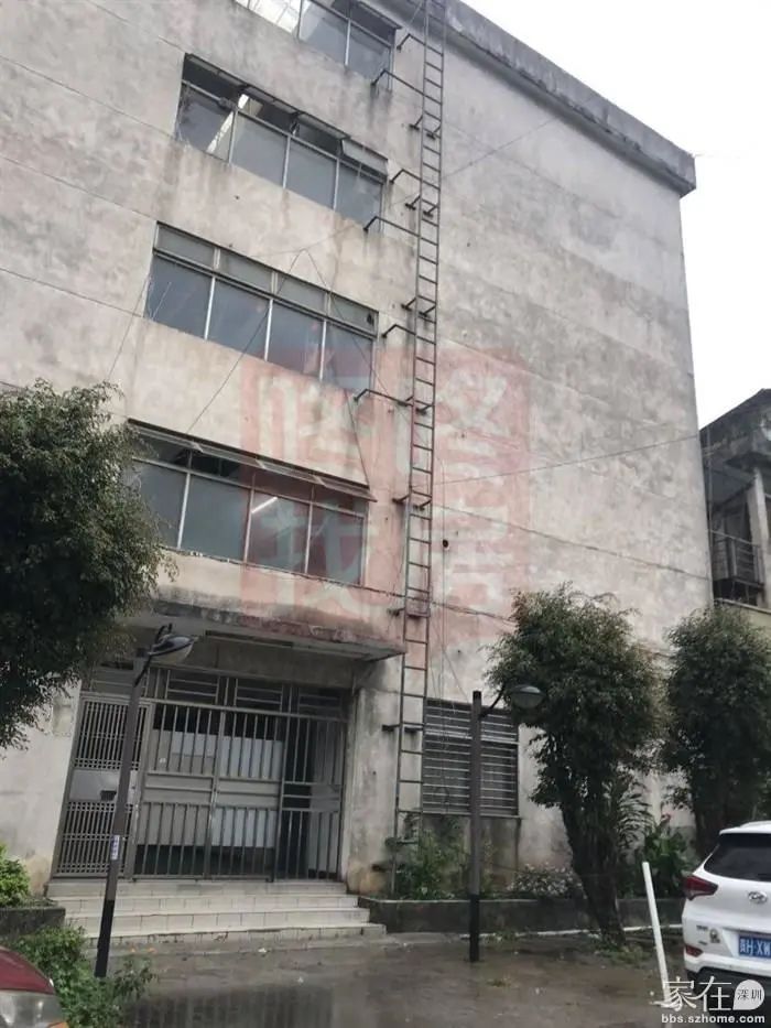 网红片区新楼盘,高端商住区旧改