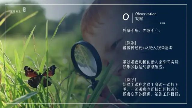 26种黄金学习法则.必备自我提升宝典II科学学习