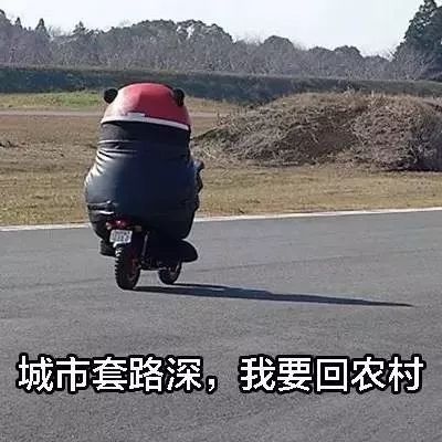 乡村是一种回忆,乡村是很多人心里的根