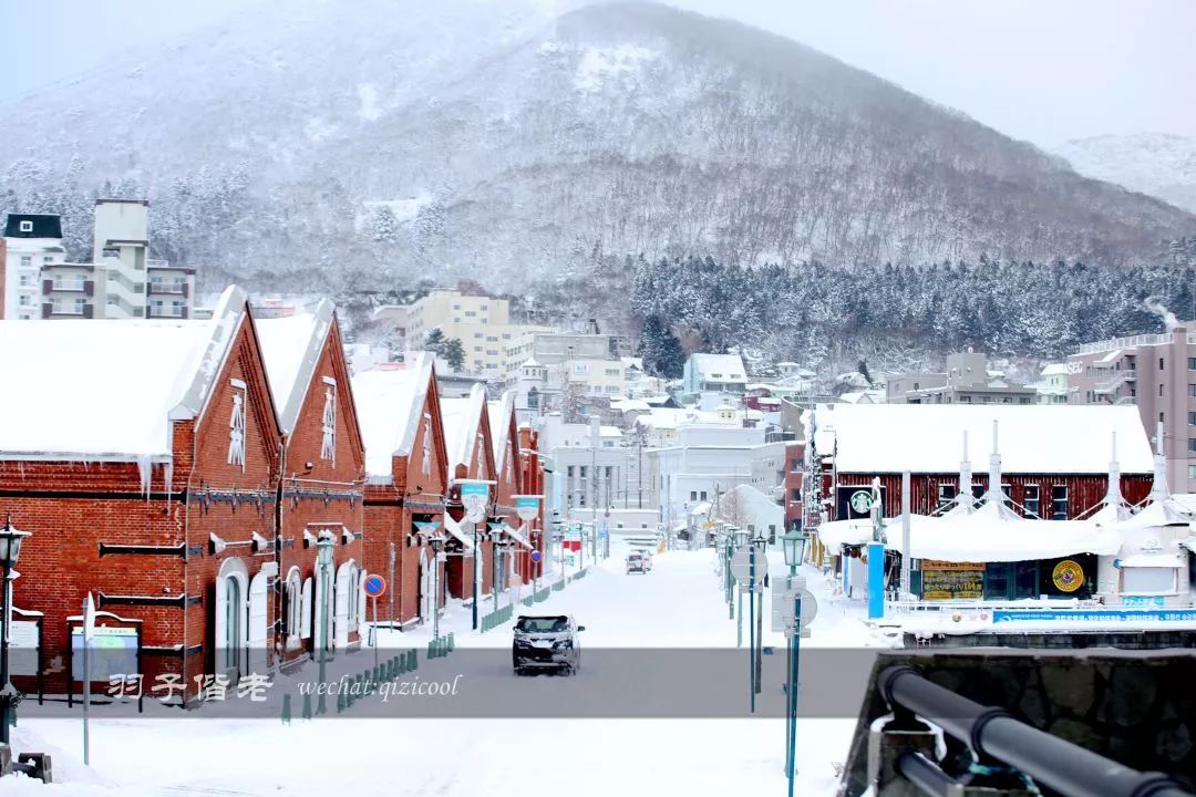 日本10天自由行费用北海道,东京北海道5日自由行攻略