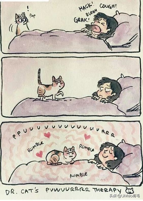猫为什么会打呼噜？而且人类听了还特别爽？抖m吗？