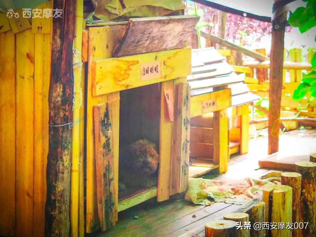 说好的阴天变成晴天,说好的晴天变成阴天