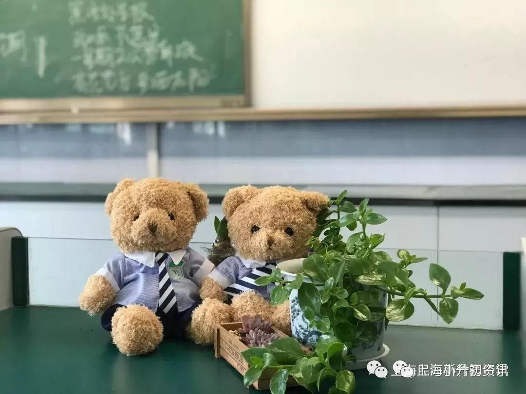 浦东这所学校堪称裸考之王！没有亲爹照顾，靠鸡血杀出一条路