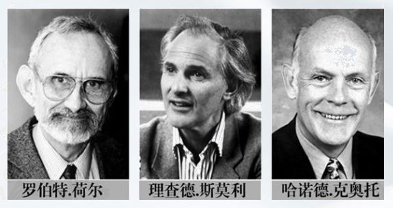 「富勒烯」到底是个啥?Rasi的富勒烯*干粉冻**护肤功效如何?